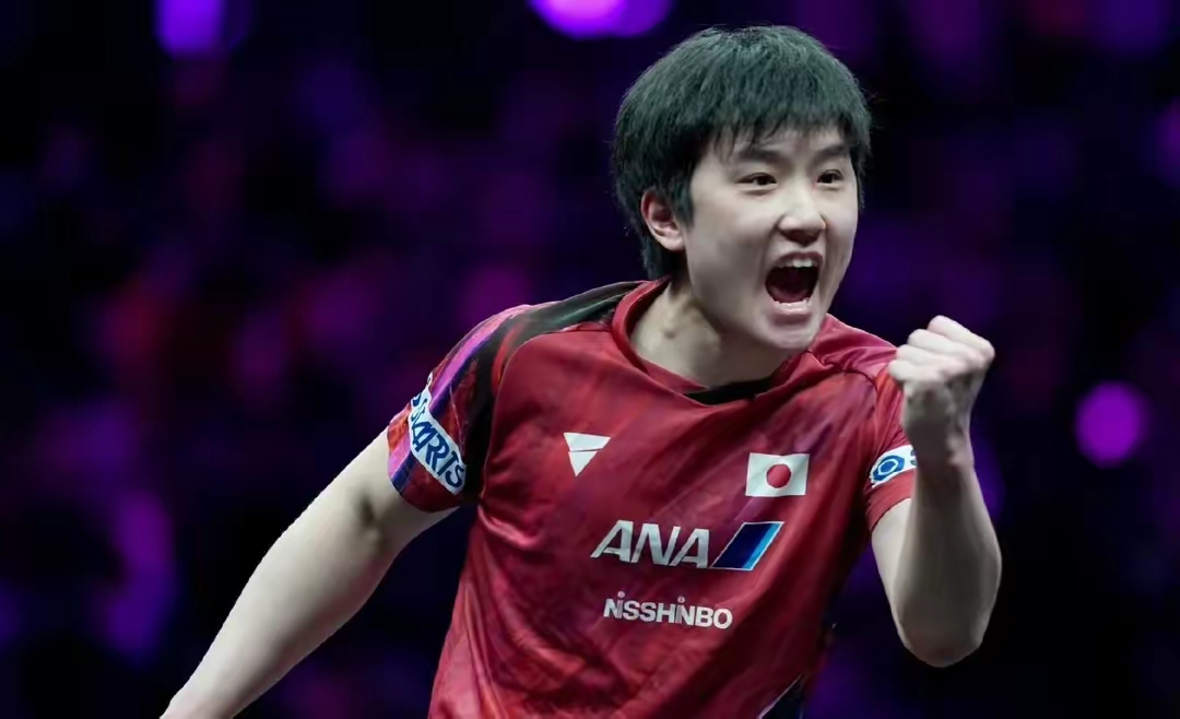 关于比利时乒乓球队血洗日本乒乓球队，张本智和送出助攻的信息