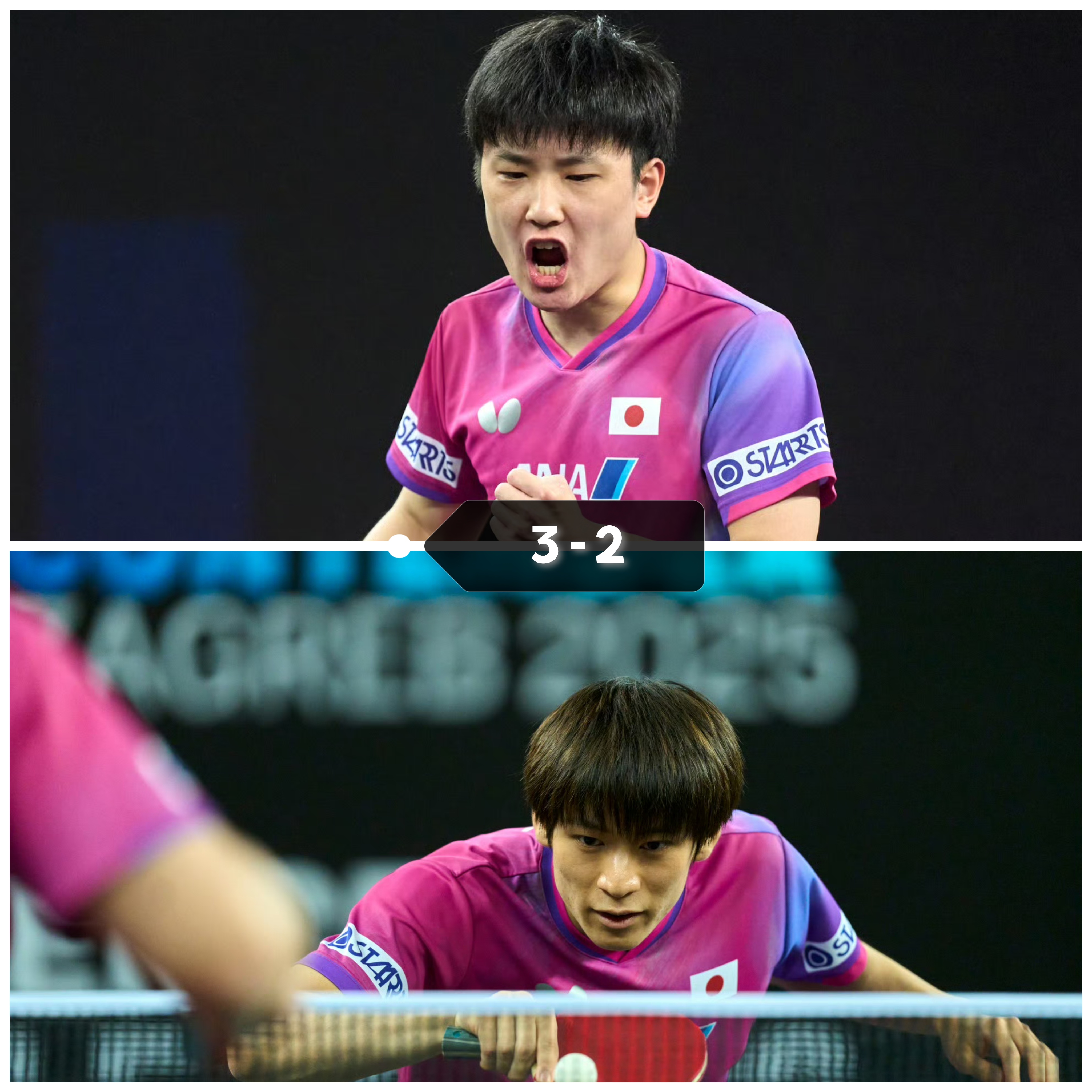 关于英格兰队逆转法国队，张本智和惊艳四座的信息