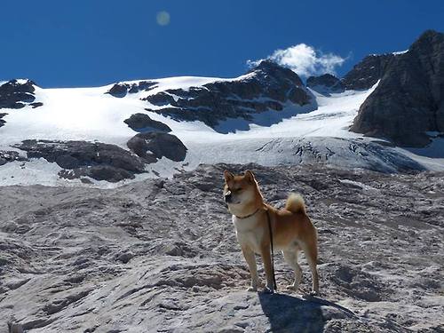 亚洲新纪元，印度崛起与巨星光芒