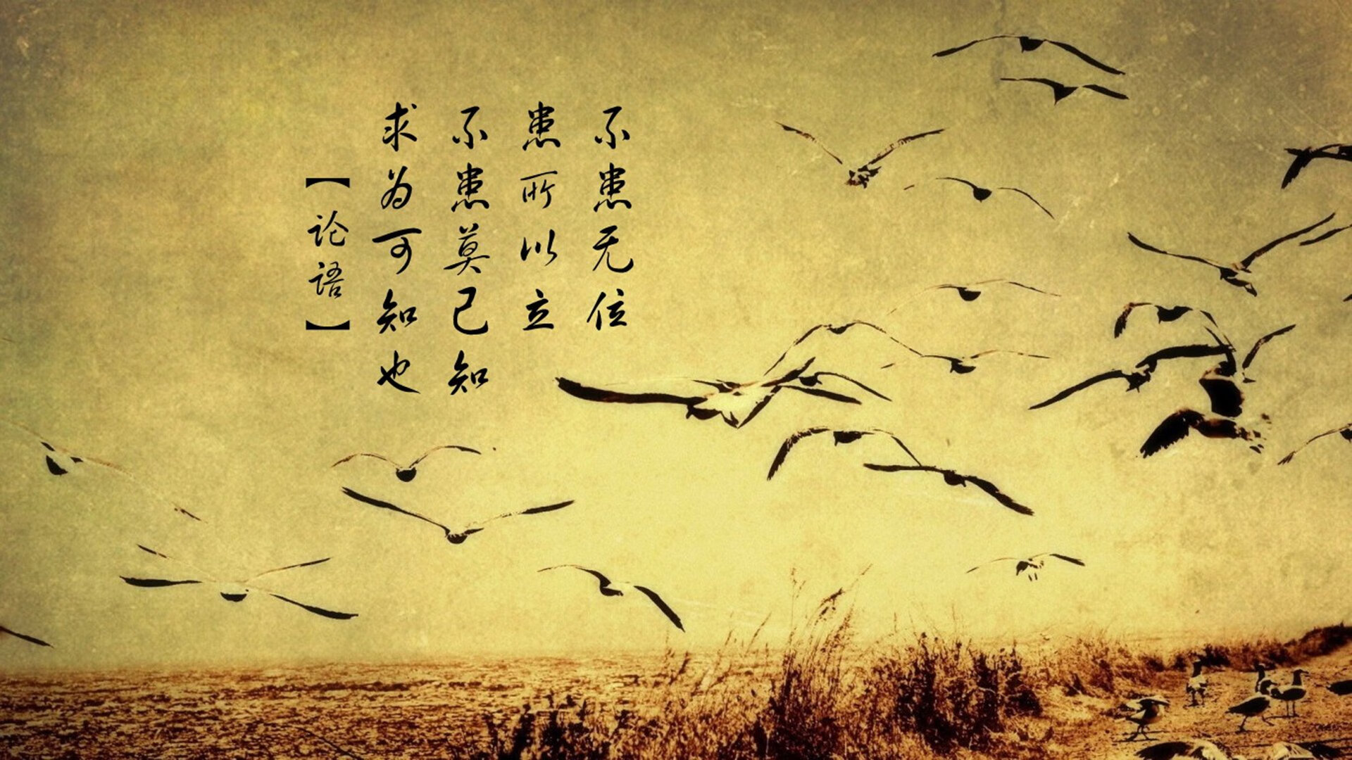 爱游戏APP-绿茵交响曲，当基耶萨的指挥棒点燃西班牙斗牛士之舞