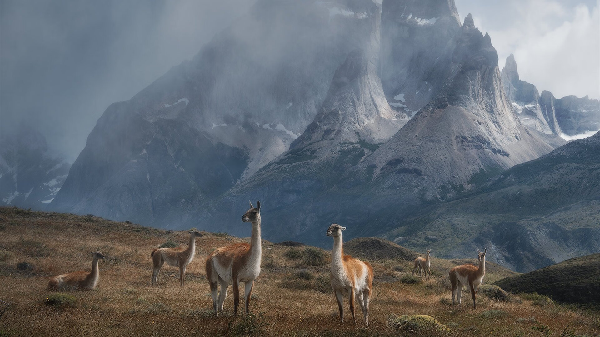 惊天爆发!赖斯双响助尼日利亚强行终结阿尔及利亚死亡之组悬念
