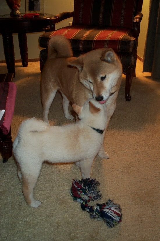 平行时空的第四节,当哈登推开AT&T中心更衣室的门