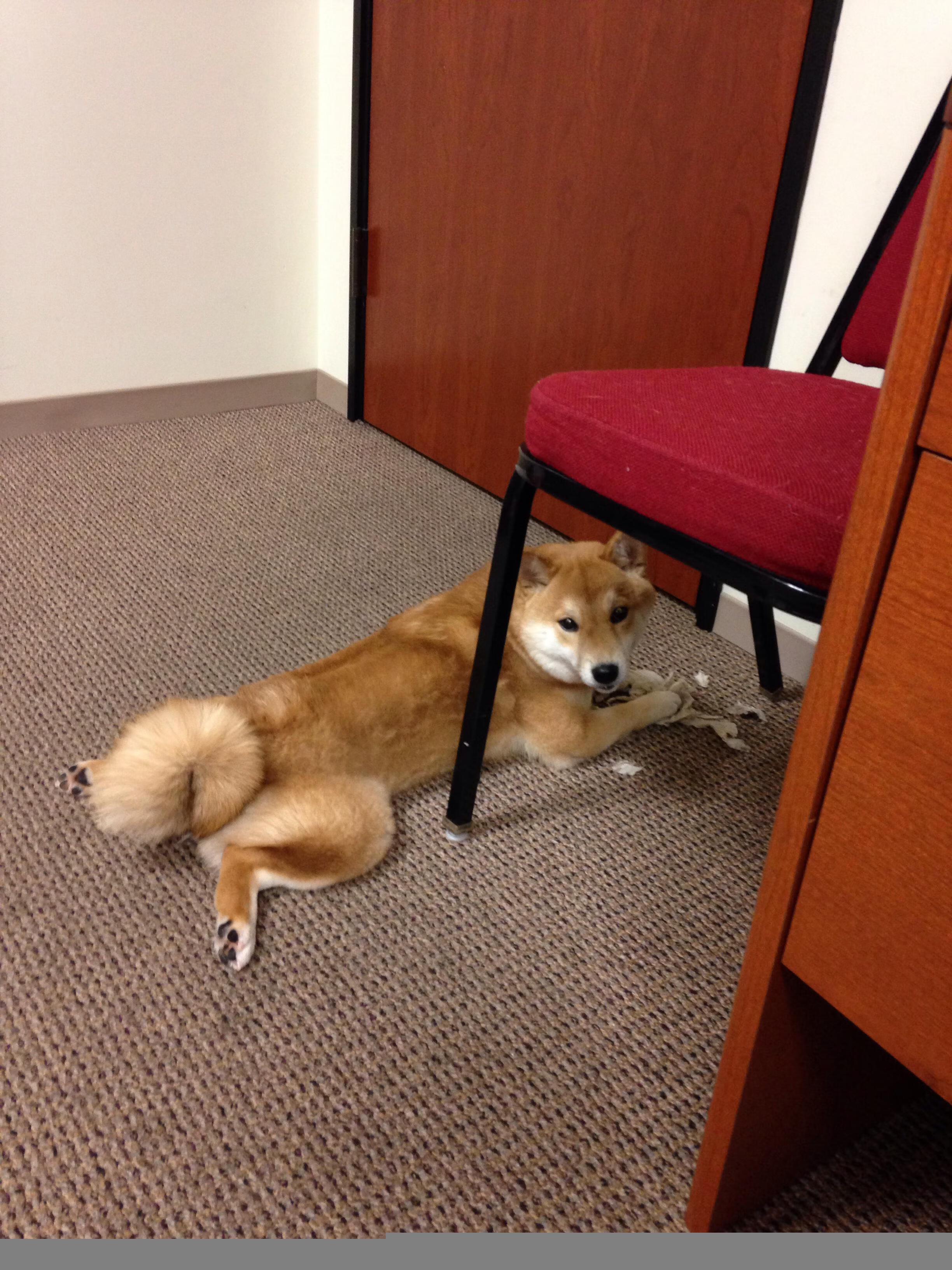 爱游戏APP-钢铁织网人，武切维奇如何用一场抢七战为自己正名