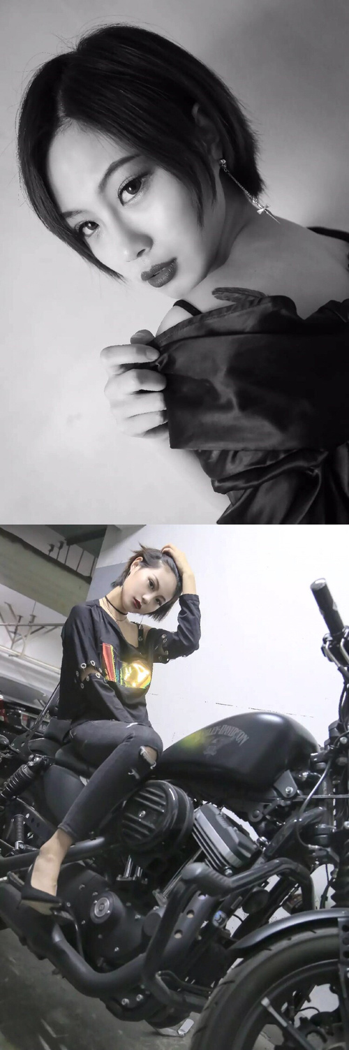 绞杀与新生,当北境铁蹄踏碎王权,猛龙如何完成对骑士时代的终极审判