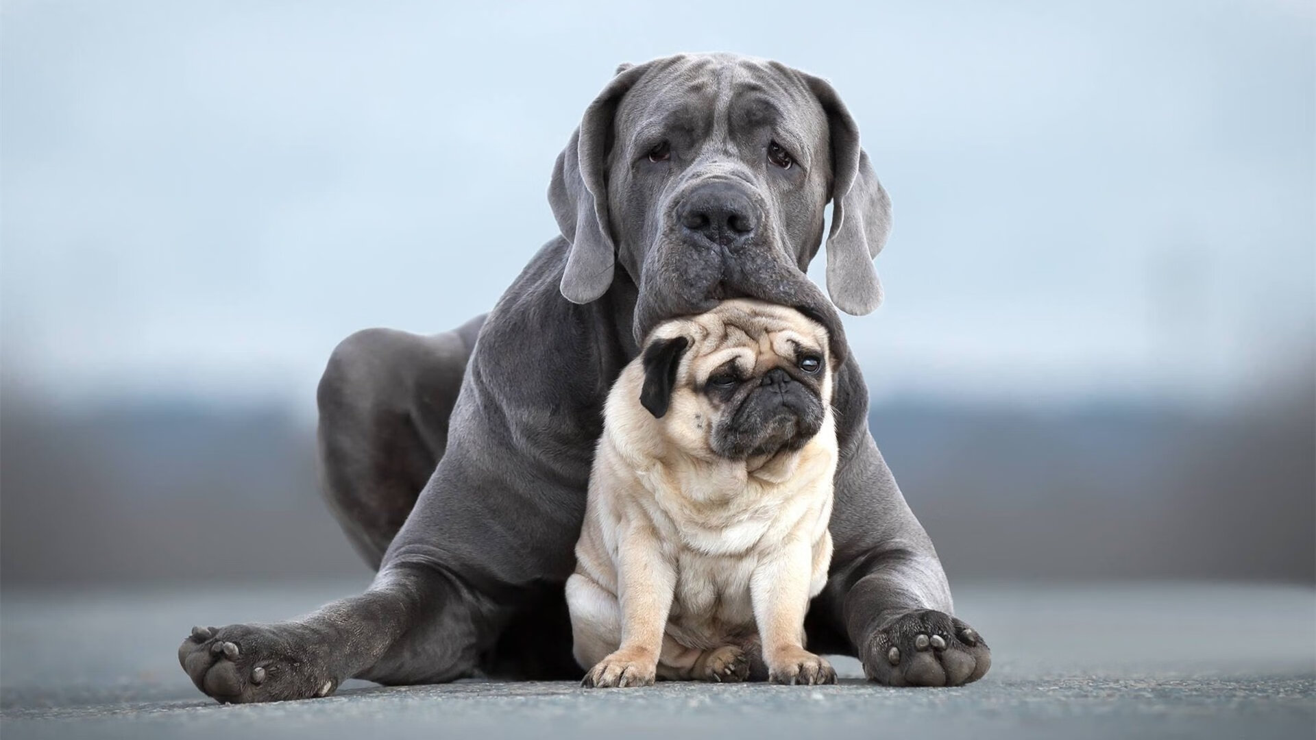 当篮球手感点燃绿茵场，德甲争冠夜与约基奇的跨界上演