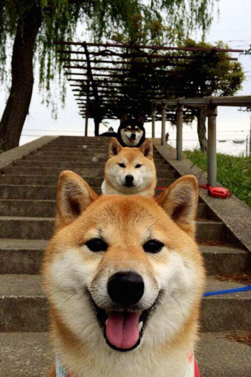 末节狂潮+双20+封神！小贾伦单骑救主，雷霆逆转剧本由他执笔