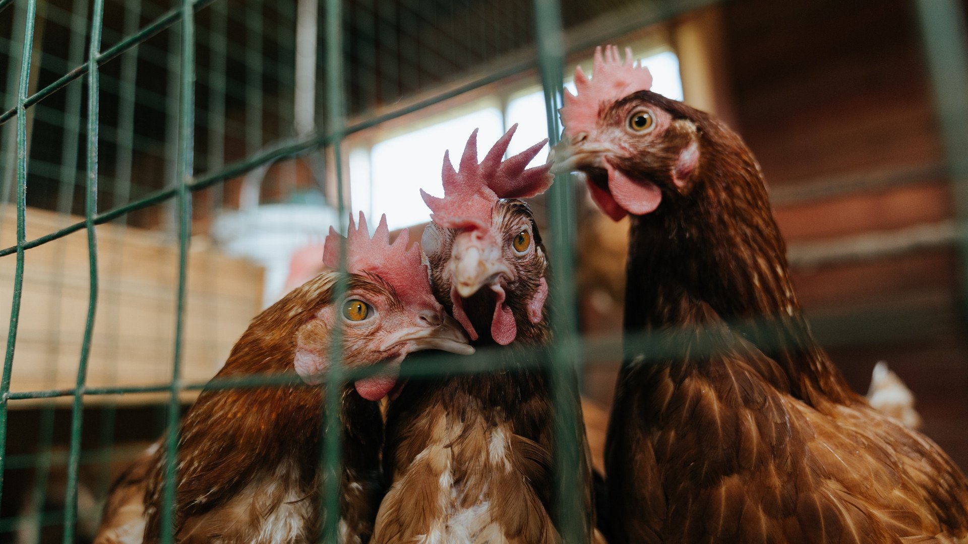 从NBA总决赛到马里封锁马竞,竞技场上,何谓真正的封锁?