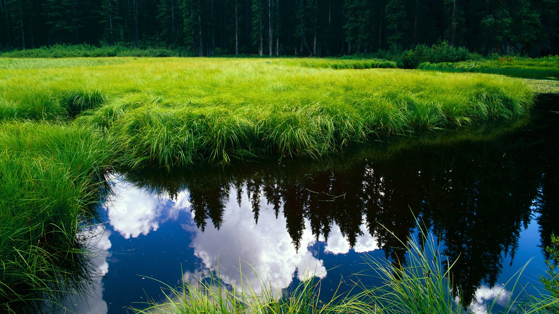 独舞者与交响乐,当马丁内利成为比赛节拍的唯一指挥家