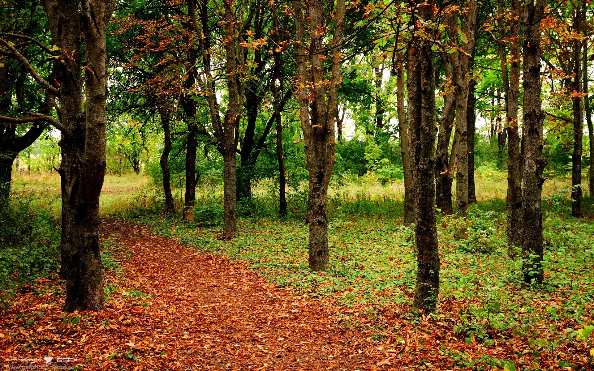 加时鏖战,AC米兰的坚韧与那不勒斯的遗憾—欧冠半决赛焦点战回顾