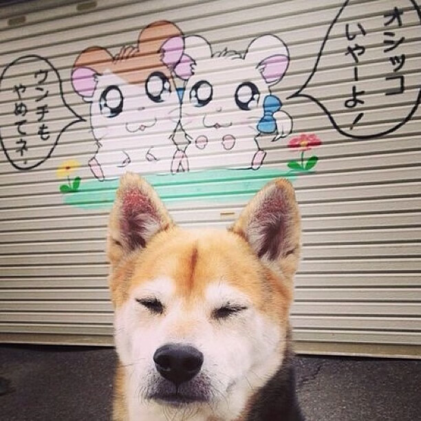 跨次元铁闸,当赖斯在FC 25数据灾变中末节拯救摩纳哥