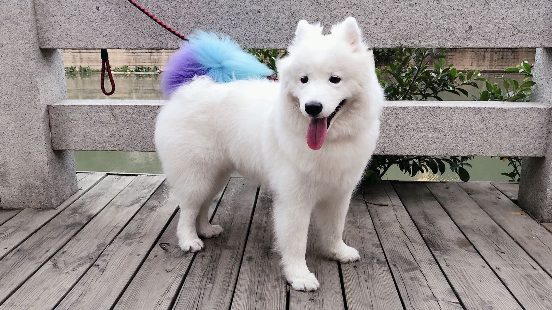 爱游戏在线-非哈姆莱特的现代莎士比亚，欧冠半决赛之夜，杰伦·格林如何将球场变作个人诗篇