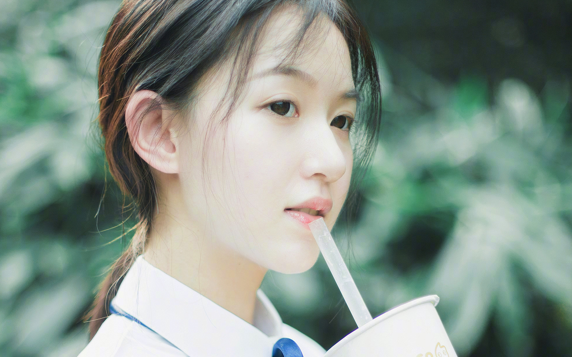 南美风暴席卷郁金香,斯通斯筑起叹息之墙