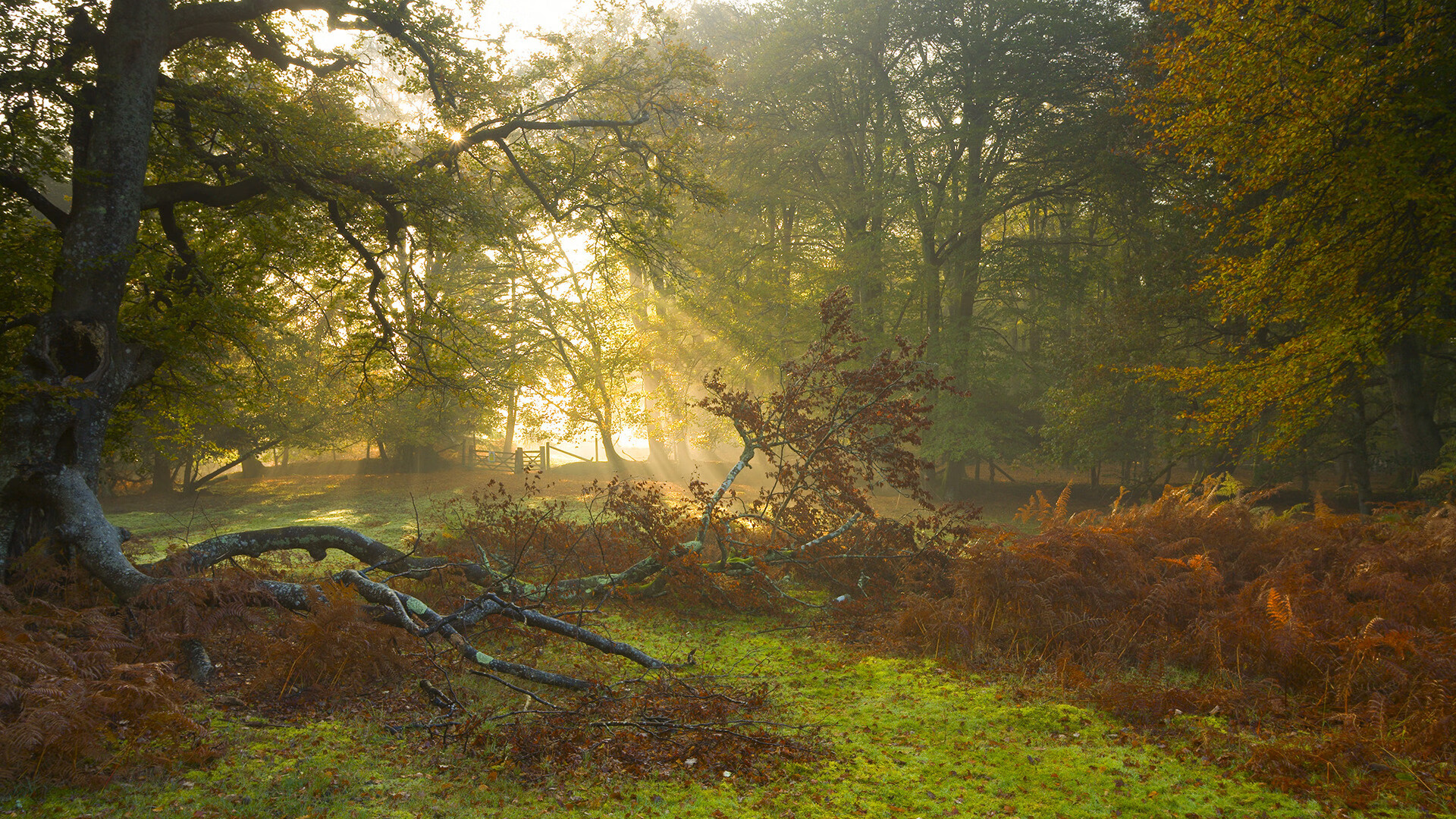 篮球、算法与星辰，当太阳在太原升起