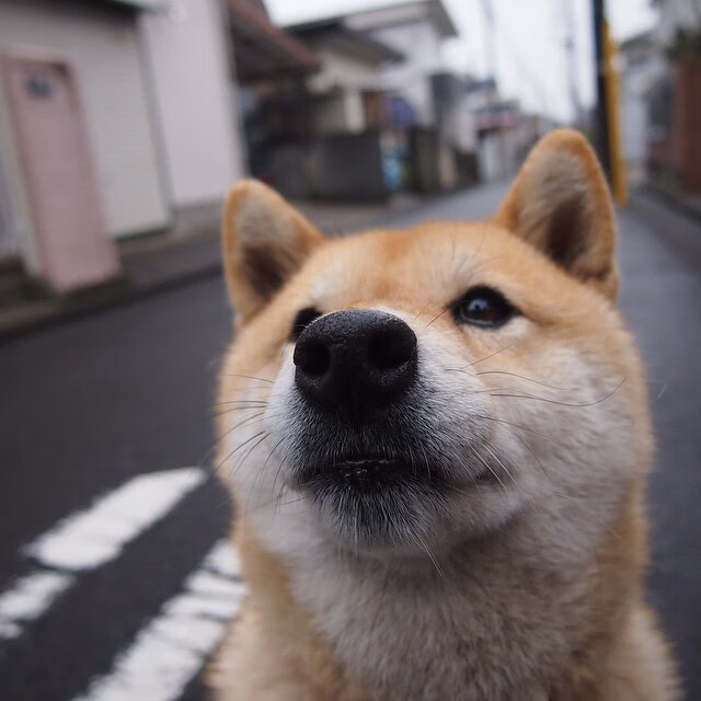 跨界征服者，当足球战场与F1街道同时刻上戈麦斯之名