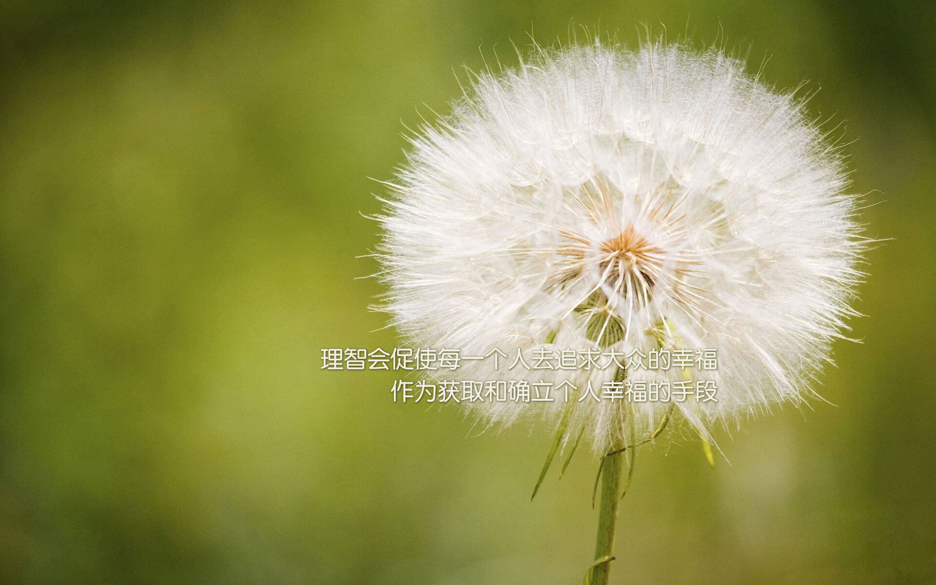 爱游戏娱乐-沙漠之鹰的致命羽翼，2026世界杯揭幕战，伊拉克绝杀瑞士，内马尔完成致命一击