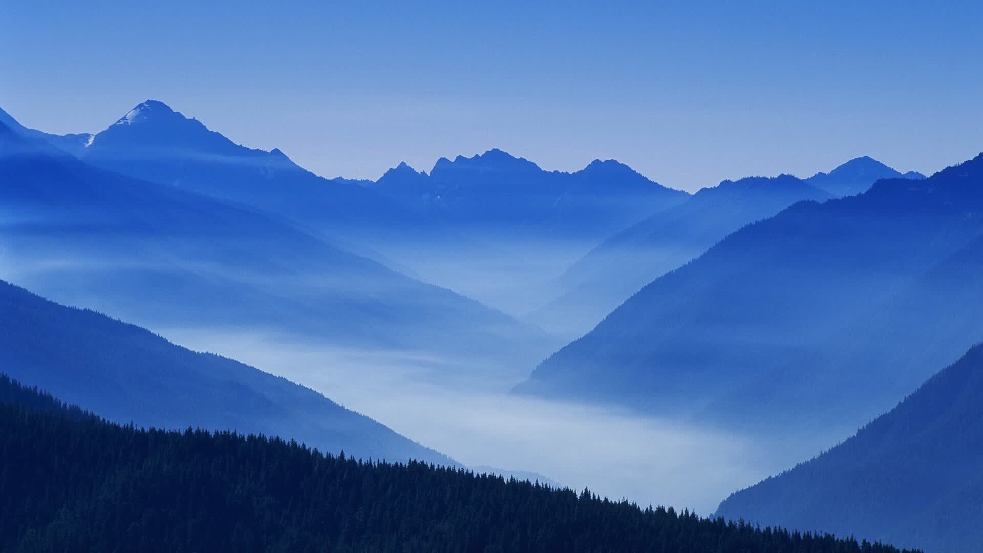 桑巴铁壁,2026世界杯淘汰赛最强穿刺,巴西用防守反击刺穿捷克,萨卡一战封神